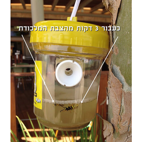 מלכודת צרעות אקו טרפ